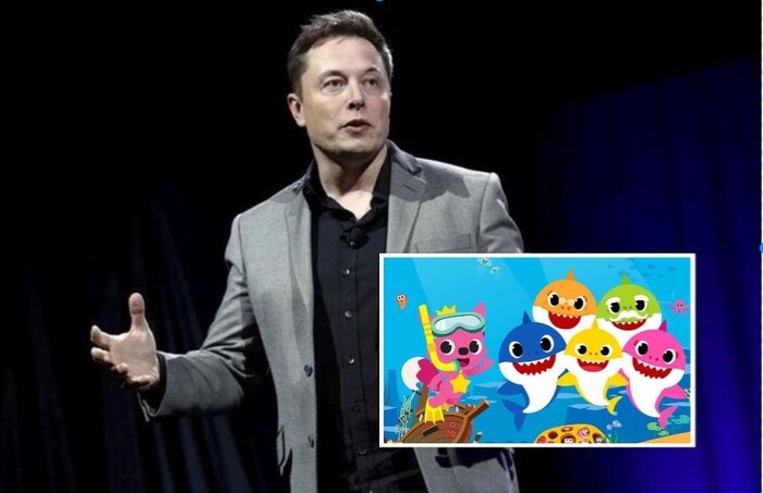 Cổ phiếu một công ty Hàn Quốc tăng 10% sau dòng tweet của Elon Musk về 'Baby Shark'