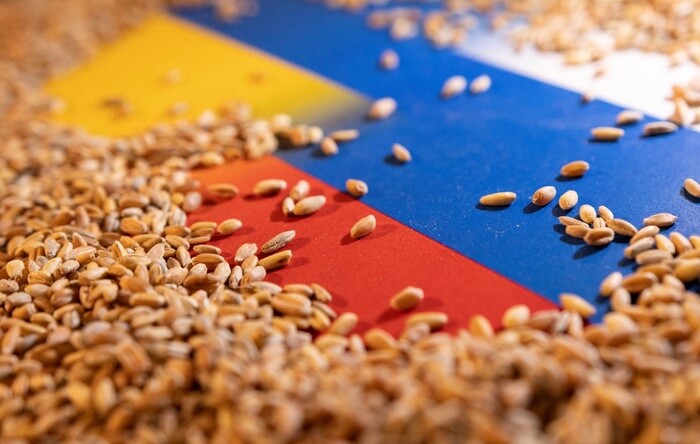 Liên hợp quốc: Thế giới cần ngũ cốc và phân bón từ Nga