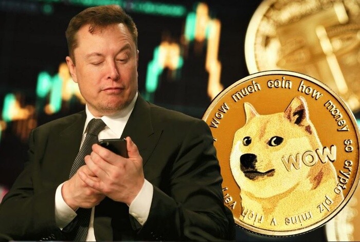Elon Musk: ‘Tôi chưa từng khuyên mọi người đầu tư vào tiền điện tử’