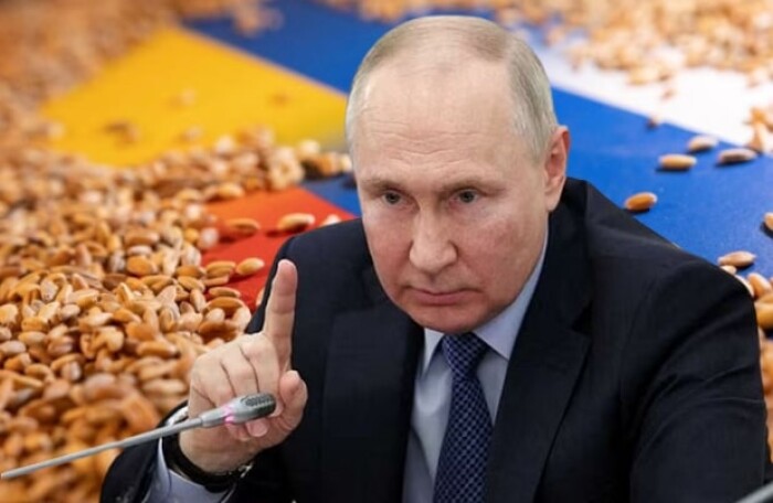 'Ngũ cốc Biển Đen': Quân bài chiến lược của TT Putin và sức mạnh ‘mặc cả’ với phương Tây