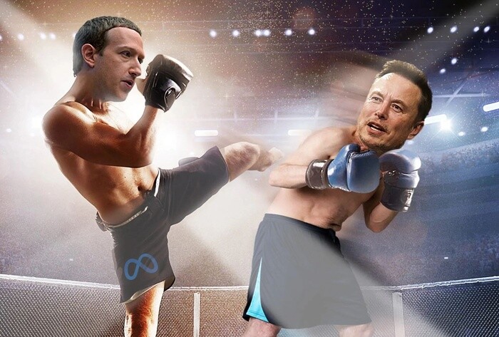Trước trận đấu võ, Elon Musk gọi Mark Zuckerberg là ‘một con gà’