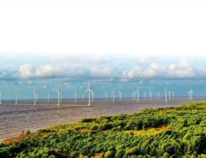 Hacom Holdings hé lộ ‘tham vọng’ làm điện gió tại Thanh Hoá