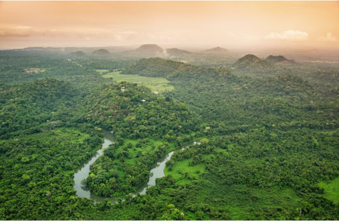 Tài chính tuần qua: LDG thâu tóm doanh nghiệp dự án phát triển rừng, Dabaco báo lãi 1.400 tỷ