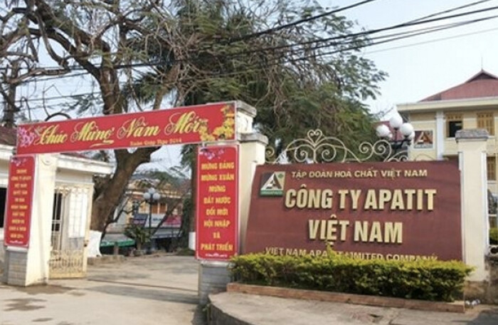 Khởi tố, tạm giam thêm 3 cựu lãnh đạo của Công ty Apatit Việt Nam