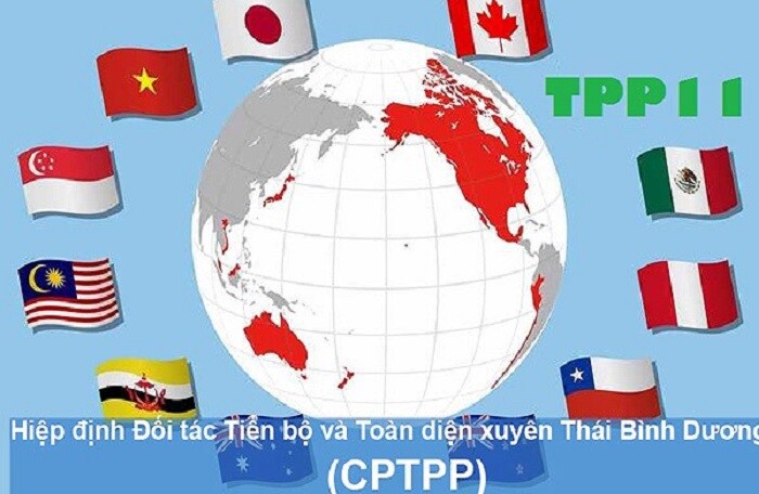Toàn văn Hiệp định Đối tác Toàn diện và Tiến bộ xuyên Thái Bình Dương - CPTPP