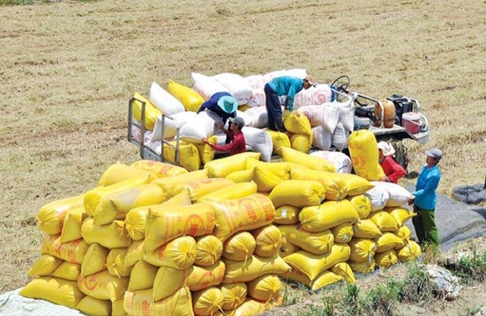 Vụ xuất khẩu gạo: Lập đoàn kiểm tra liên ngành, có Bộ Công an tham gia