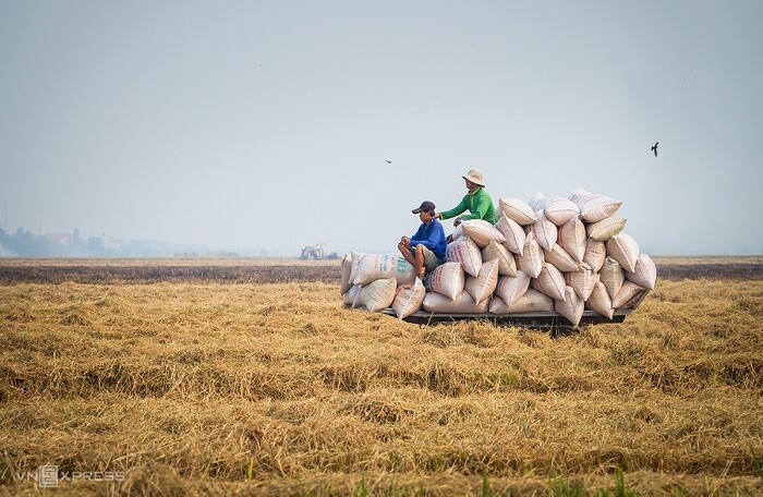 Bộ trưởng Bộ Tài chính đề nghị Bộ Công an điều tra vụ xuất khẩu gạo