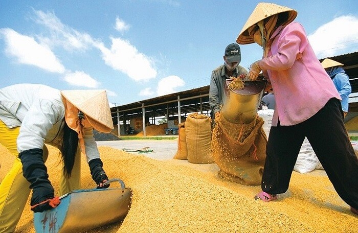 Bộ Công Thương xin bỏ hạn ngạch, xuất khẩu gạo sắp được cởi trói