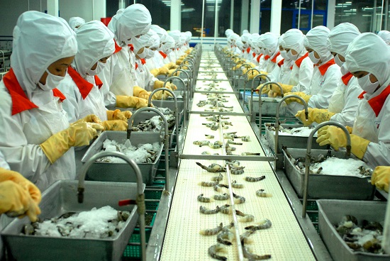 Úc dỡ lệnh cấm nhập khẩu tôm, doanh nghiệp thủy sản Việt thở phào ảnh 2