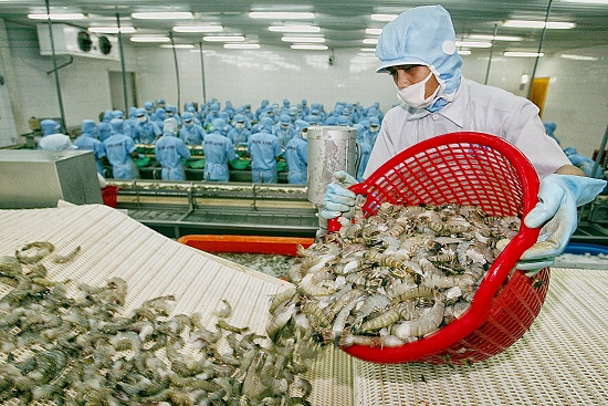 Úc dỡ lệnh cấm nhập khẩu tôm, doanh nghiệp thủy sản Việt thở phào ảnh 1