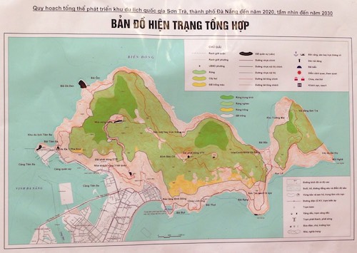 Lãnh đạo Hiệp hội du lịch Đà Nẵng ‘tạm vui’ về quy hoạch Sơn Trà ảnh 2