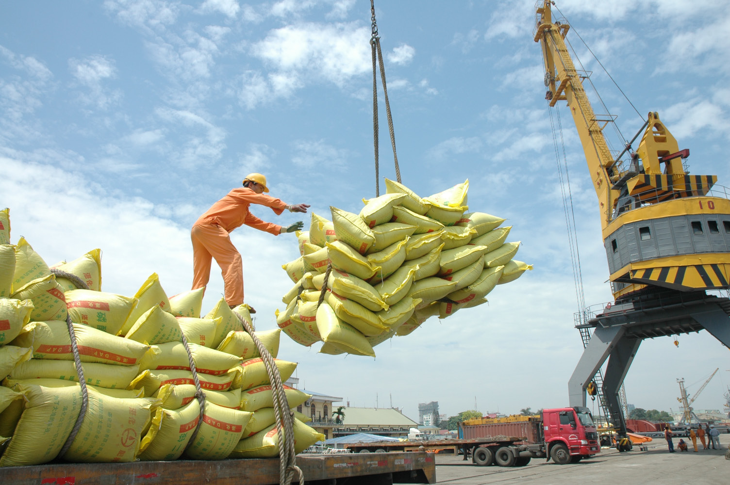 Quy định xuất khẩu gạo: Mập mờ khái niệm ‘có kho chuyên dùng’ ảnh 2