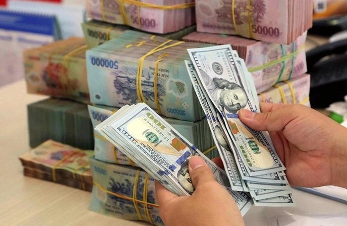 Lãi suất trong nước cao, doanh nghiệp Việt tìm nguồn vốn nước ngoài - Ảnh 1