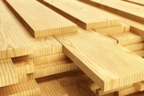 Bình Định: Chấm dứt dự án sản xuất ván gỗ 4.400 tỷ vì không có đất sạch
