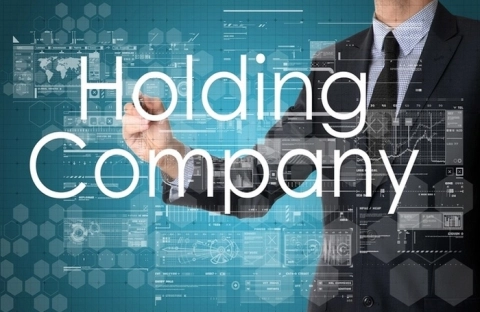 holding company là gì: Công ty sở hữu là gì? Hoạt động của công ty sở hữu |  VietnamFinance