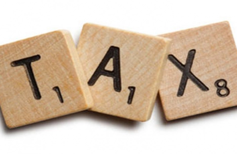 Có những loại cơ sở thuế khác nhau trong hệ thống thuế không? Ví dụ?
