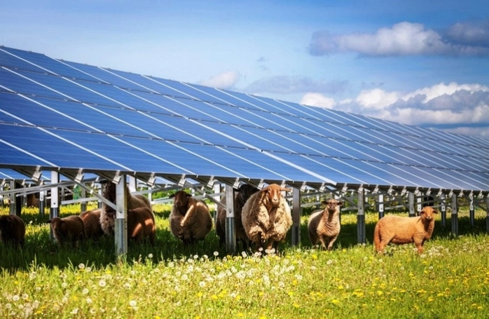 Quảng Trị thu hồi đất để thực hiện dự án Trang trại chăn nuôi công nghệ cao kết hợp điện mặt trời áp mái (Ảnh minh hoạ)