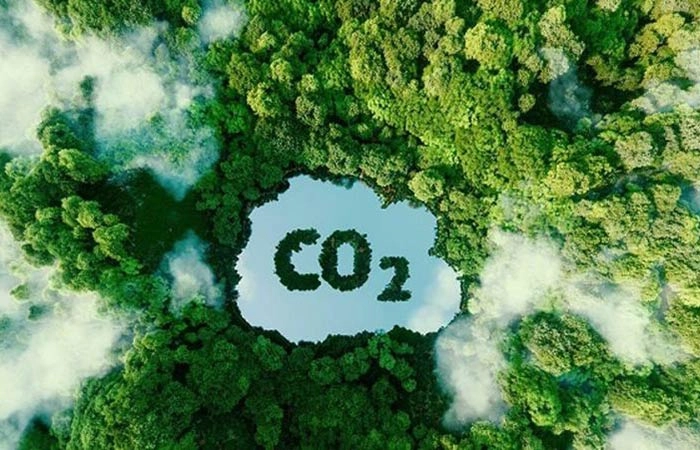 Đề xuất lập sàn giao dịch tín chỉ carbon quốc gia
