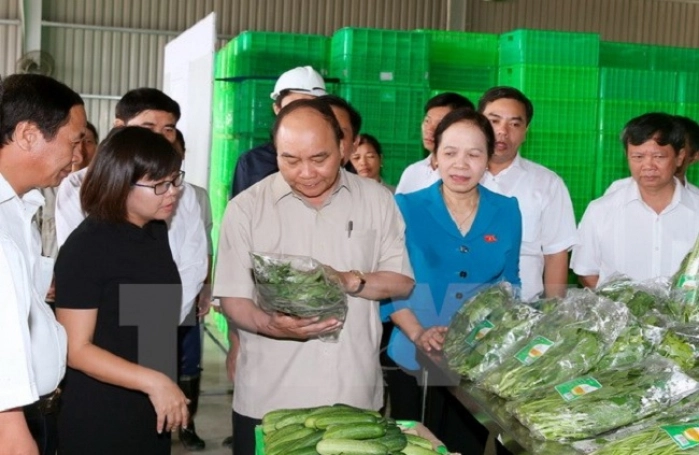Thủ tướng thăm 'vườn rau công nghệ cao' của Vingroup
