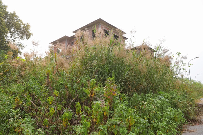 'Đất không nhà, nhà không người' tại khu đô thị Nam An Khánh - Ảnh 12