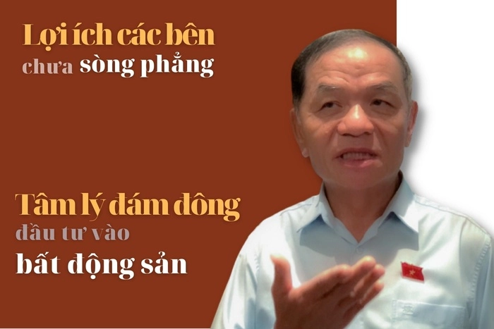 ĐBQH Lê Thanh Vân: 'Bắt đúng bệnh, chữa đúng thuốc' để thị trường BĐS vận hành đúng hướng - Ảnh 3