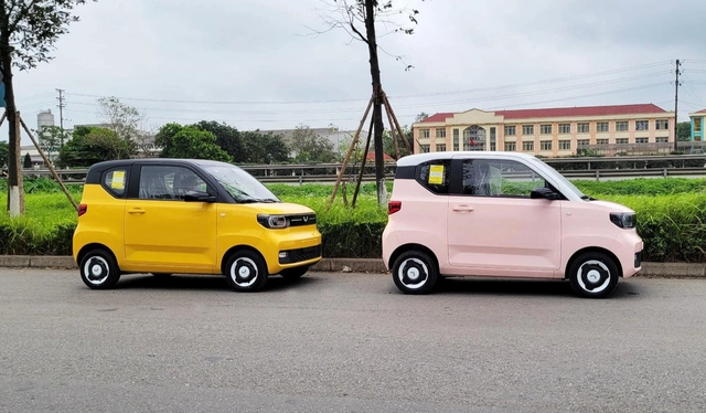 Loạt ô tô điện giá rẻ sắp mở bán ở Việt Nam, có xe giá chỉ 100 triệu đồng - Ảnh 1.