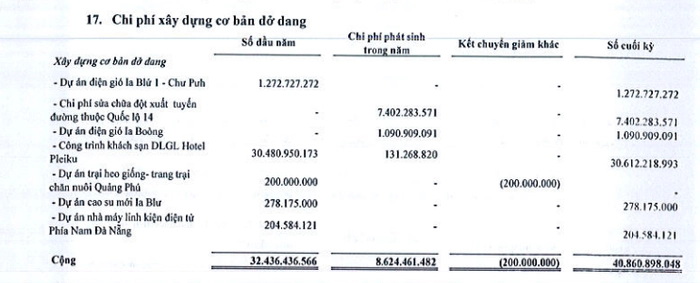 Đức Long Gia Lai lỗ hơn 500 tỷ đồng trong quý IV, bị ngân hàng siết nợ - Ảnh 1